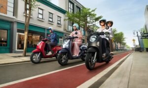 articles-1730800061163