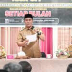 WhatsApp Image 2025-04-28 at 17.07.12