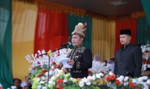 WhatsApp Image 2025-12-11 at 18.06.14