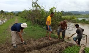 WhatsApp Image 2026-01-08 at 19.18.38