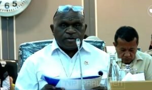 natalius_pigai-c3tn_large